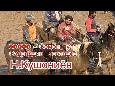 Видео: Бузкаши 03.03.2024 50000 сомон Садриддин човандоз н.Кушониён 🐎 Рустам Соҳибов ш.Бохтар 🐎 "Бентли"