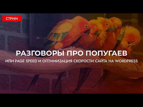 Видео: Что такое Page Speed, как он работает и общая оптимизация скорости сайта на WordPress