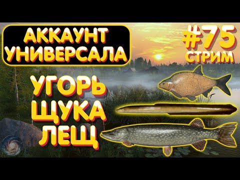 Видео: Угорь Лещ Щука - Острог 🔥 Аккаунт универсала #75 стрим 🎁 Бокс с премом на TROVO 🎁 рр4 #1124