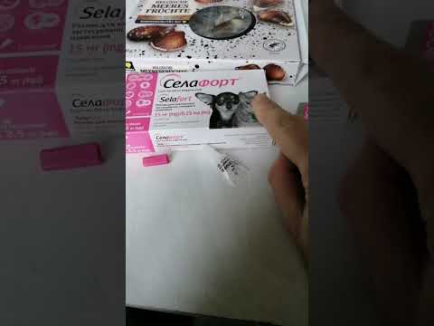 Видео: Селафорт капли для кота или собаки от паразитов, как применять