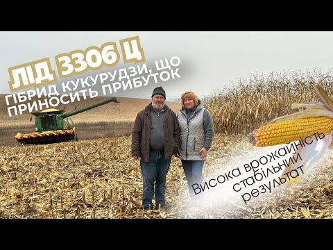 Видео: ЛІД 3306 Ц — гібрид кукурудзи, що приносить прибуток 🌽 | Висока врожайність, стабільний результат