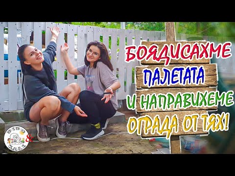 Видео: Живот на село: Кой ни боядиса оградата?