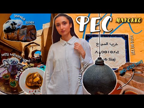 Видео: Мы в МАРОККО! Грязь и колорит. Зачем ехать в Фес?