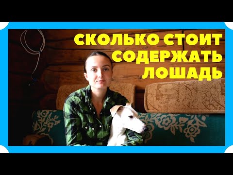 Видео: СКОЛЬКО СТОИТ СОДЕРЖАТЬ ЛОШАДЬ + (ЗАРАБОТОК)