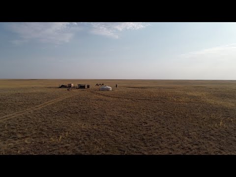 Видео: Восставший из пустыни Бумбин Орн 2022