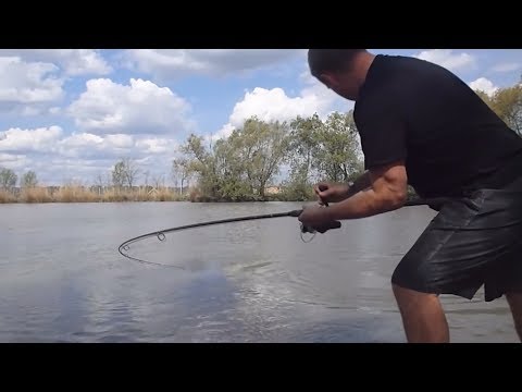 Видео: ПОКЛЕВКИ и ВЫВАЖИВАНИЕ КРУПНЫХ КАРПОВ!!!