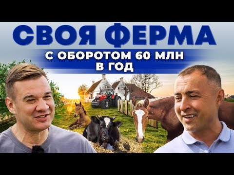 Видео: Животноводство может быть выгодным! Как содержатся лошади и быки в Татарстане? Андрей Даниленко