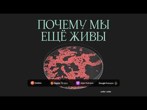 Видео: Прочь из моей головы: как мы справляемся с мигренью | Подкаст Почему мы ещё живы