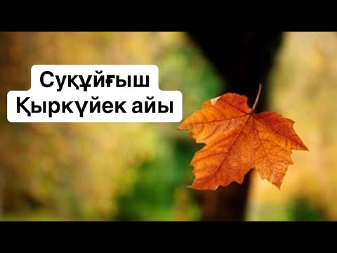 Видео: Суқұйғыш 2025 жылдың Қыркүйек айына арналған Таро жорамалы