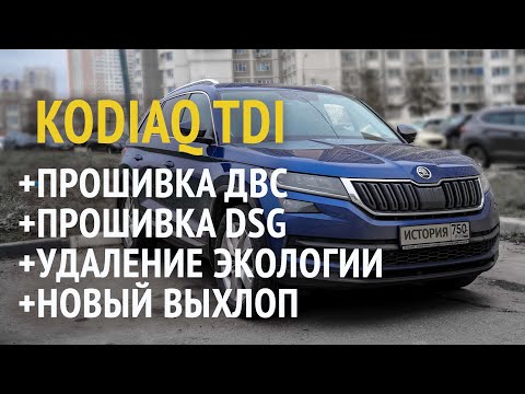 Видео: Skoda Kodiaq 2.0TDI 2019. История доработок. Пробег 121000 км