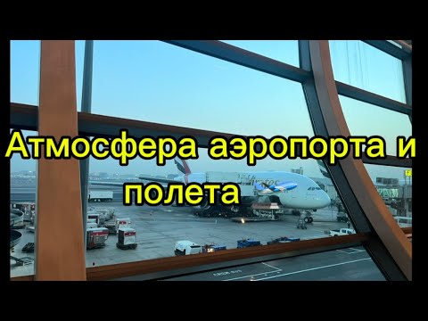Видео: Перелет Москва Дубай Бангкок Emirates 🇦🇪 #влог #полёт #самолет #небо #шоппинг 