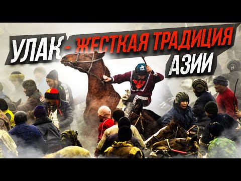 Видео: УЛАК!  Традиция Азии | ЖЕСТКО, но зрелищно!