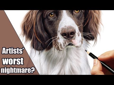 Видео: Как нарисовать БЕЛЫЙ мех на БЕЛОЙ БУМАГЕ цветными карандашами | Не так страшно, как кажется;)