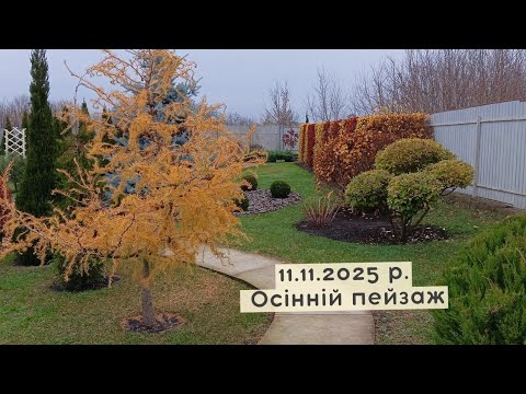 Видео: ВСІ в ЗАХВАТІ 🤩 від мого Живоплоту з Пухироплідників!
