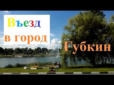 Видео: Красивый въезд в  Губкин. Уютно, зелено, креативно.