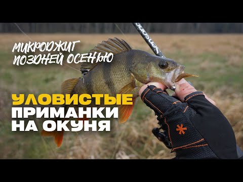 Видео: Уловистые Приманки Микроджиг на Окуня Поздней Осенью TOP 100500