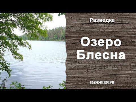 Видео: Озеро Блесна. Подводная охота в Ленинградской области. Гидрокостюмы HAMMERFISH