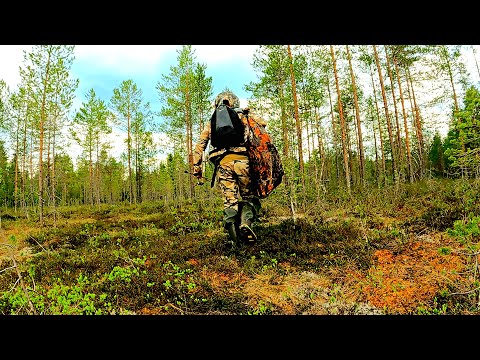 Видео: РЫБАК ЗАШЁЛ В ЛЕС НАШЁЛ ОЗЕРО И ОБАЛДЕЛ! РЫБАЛКА В КОНЦЕ МАЯ 2024. РЫБУ ПОЙМАЛ И ПРИГОТОВИЛ.