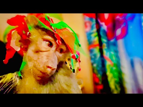 Видео: Нам наконец привезли горку и Люська пошла В РАЗНОС!