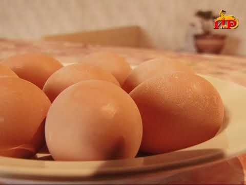 Видео: «Сасинка». 78 хай. ПТРК «Ир» ӕмӕ ТК «Nog Bon»- ы проект.