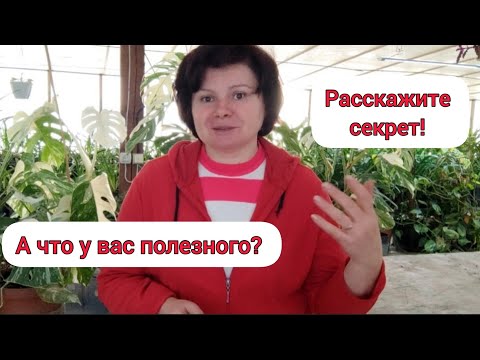 Видео: Приглашаю на ЭСТАФЕТУ блогеров!