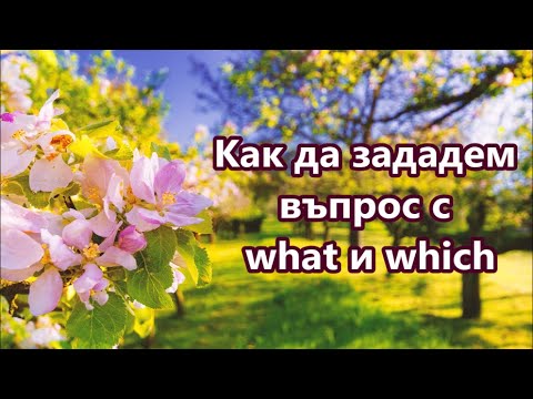 Видео: Уча английски: Как да зададем въпрос с What & Which + FREE PDF