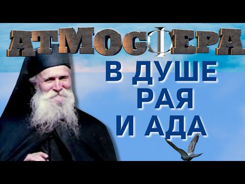 Видео: «Каковы твои мысли, такова и жизнь твоя…» - Фаддей Витовницкий