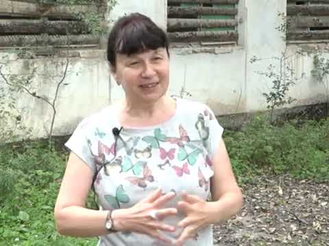 Видео: Фильм про город Дальнегорск к 125-летию