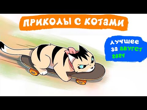 Видео: Приколы с котами. ЛУЧШЕЕ ЗА АВГУСТ 2024 | Мемозг