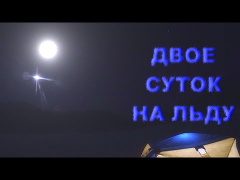 Видео: РЫБАЛКА ПОД СОУСОМ ТЕРИЯКИ.