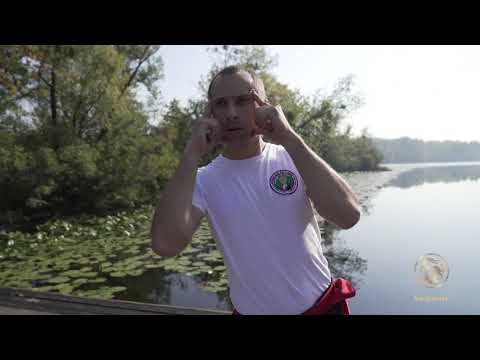 Видео: Как избавиться от боли в пояснице