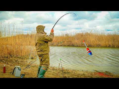 Видео: ПОД КАМЫШОМ КЛАДУТ ПОПЛАВОК! ВСЯ РЫБА СОБРАЛАСЬ В ЭТОЙ ЯМКЕ! РЫБАЛКА НА ПОПЛАВОК!