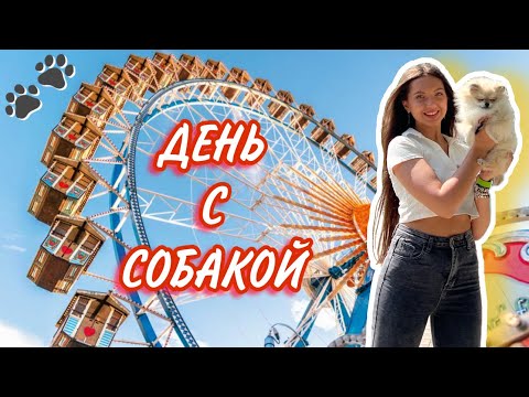 Видео: День в парке с Микой 🐶