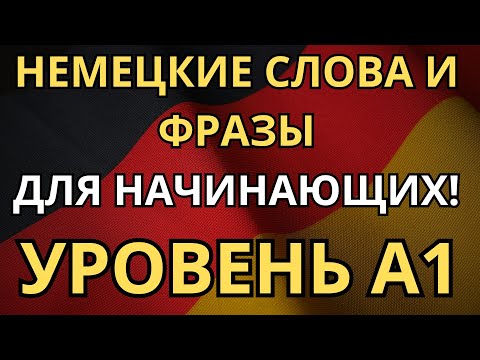 Видео: ТРЕНИРУЕМ НЕМЕЦКИЕ СЛОВА ФРАЗЫ И ПРОСТЫЕ ДИАЛОГИ ДЛЯ НАЧИНАЮЩИХ - Уровень A1 - Немецкий на слух