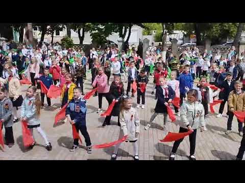 Видео: Начальная школа. Линейка ко Дню Победы. Флешмоб. 08 мая 2024