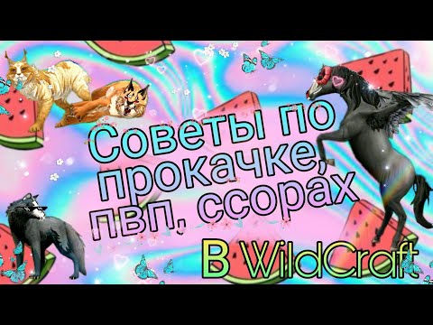 Видео: 🍀СОВЕТЫ🍀 по ПРОКАЧКЕ🌹, ПВП🔫 И ССОРАХ🔥