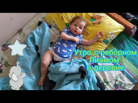 Видео: Утро с реборном Лиамом  в деревне | Morning routine with reborn baby