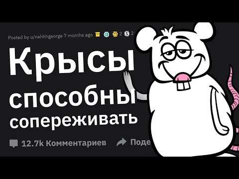 Видео: ПСИХОЛОГИЧЕСКИЕ Эксперименты с Интересными Результатами