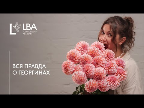 Видео: ГЕОРГИНЫ ДЛЯ ФЛОРИСТА | УХОД И ХРАНЕНИЕ | СОВЕТЫ LBA