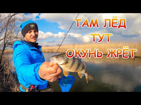 Видео: Там ЛЁД, тут ЛЁД! А окунь на микроджиг приманки ЖРЁТ!