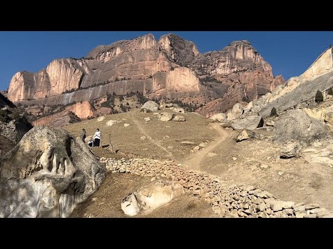 Видео: Кооз тоолорго келип калдык#kojo#kelen