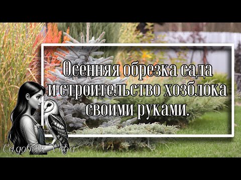 Видео: ОБРЕЗАЛА ГОРТЕНЗИИ ll У МАЛИНЫ ГРИБОК II СТРОИМ ХОЗБЛОК