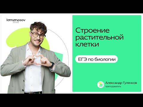 Видео: Строение растительной клетки в ЕГЭ по биологии| Lomonosov School