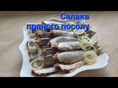 Видео: Салака пряного посолу