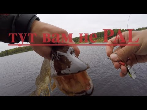 Видео: Рыбинское Водохранилище. Тут вам не PAL