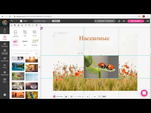 Видео: Инструкция по работе с Genially