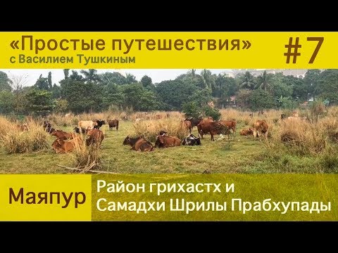 Видео: "Простые путешествия" #7 - Маяпур: Район грихастх и Самадхи Шрилы Прабхупады