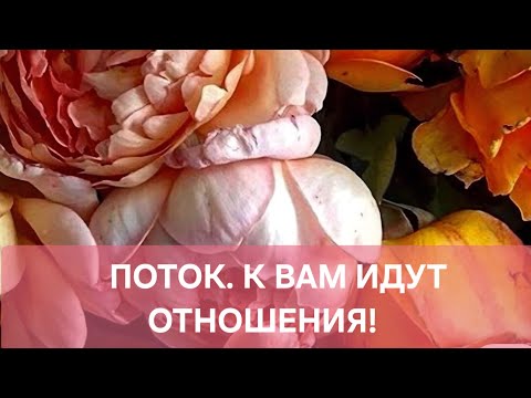Видео: ПОТОК. К ВАМ ИДУТ ОТНОШЕНИЯ!❤️❤️❤️❤️❤️