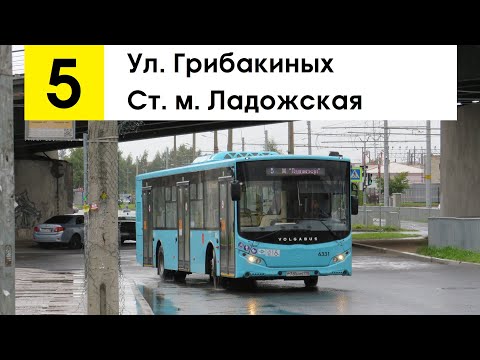 Видео: Автобус 5 "Ст. м. "Ладожская" - ул. Грибакиных"