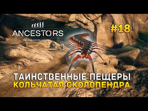 Видео: Таинственные пещеры. Кольчатая сколопендра - Ancestors: The Humankind Odyssey #18